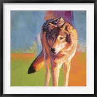 Wolf Study III Fine Art Print