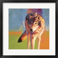 Wolf Study III Fine Art Print