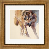 Wolf Study IV Fine Art Print