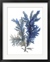 Ocean Bloom I Fine Art Print