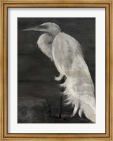 Textured Egret I Fine Art Print