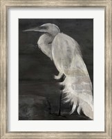 Textured Egret I Fine Art Print