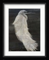 Textured Egret II Fine Art Print