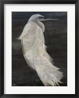 Textured Egret II Fine Art Print