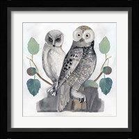 Traditional Owls I Fine Art Print