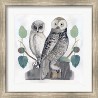Traditional Owls I Fine Art Print