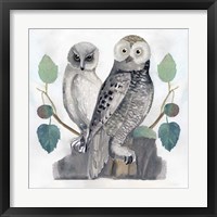 Traditional Owls I Fine Art Print
