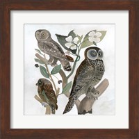 Traditional Owls II Fine Art Print