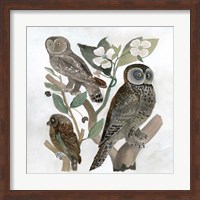 Traditional Owls II Fine Art Print