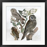 Traditional Owls II Fine Art Print