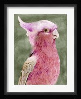 Palm Springs Parrot I Fine Art Print