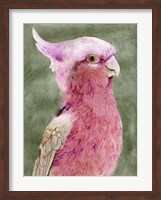 Palm Springs Parrot I Fine Art Print