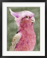 Palm Springs Parrot I Fine Art Print