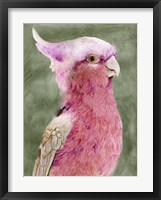 Palm Springs Parrot I Fine Art Print