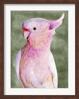 Palm Springs Parrot II Fine Art Print