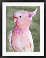 Palm Springs Parrot II Fine Art Print