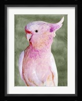 Palm Springs Parrot II Fine Art Print