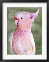 Palm Springs Parrot II Fine Art Print