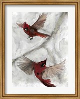 Cardinals I Fine Art Print