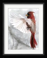 Cardinals II Fine Art Print
