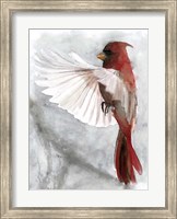 Cardinals II Fine Art Print