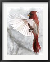 Cardinals II Fine Art Print