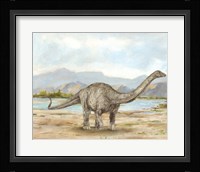 Dinosaur Illustration V Framed Print