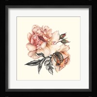 The Light of Day Rose II Framed Print