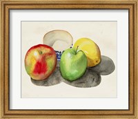 Still Life with Apples & Lemon II Fine Art Print