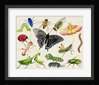 Bugdom I Framed Print