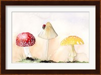 Faerie Mushrooms I Fine Art Print