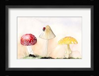 Faerie Mushrooms I Framed Print
