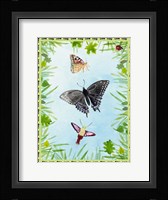 Bug Collector II Framed Print