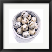 Quail Egg Study II Fine Art Print