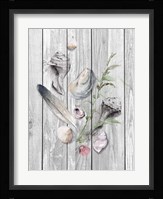 Drifted Ashore II Fine Art Print