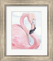Pink Flamingo Portrait I Fine Art Print