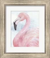 Pink Flamingo Portrait II Fine Art Print