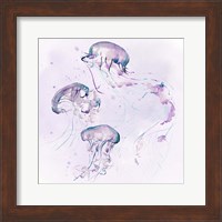 Underwater Halcyon II Fine Art Print