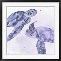 Underwater Halcyon IV Fine Art Print