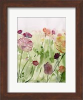Among the Watercolor Wildflowers II Fine Art Print