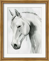 Horse Whisper I Fine Art Print