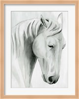 Horse Whisper II Fine Art Print