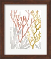 Desert Coral I Fine Art Print