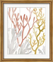Desert Coral I Fine Art Print