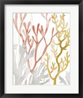 Desert Coral I Framed Print