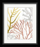 Desert Coral II Framed Print