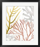 Desert Coral II Fine Art Print