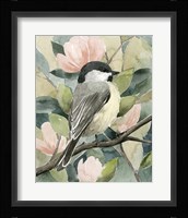Veiled Aviary I Framed Print