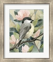 Veiled Aviary I Fine Art Print