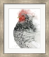Plymouth Rooster I Fine Art Print